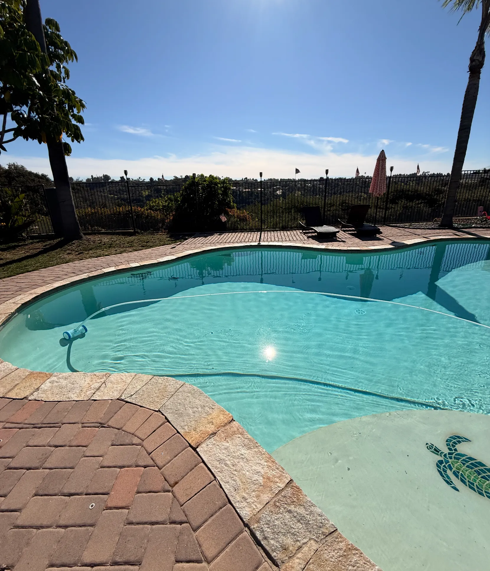 Clean freeform pool with turtle mosaic and hillside view