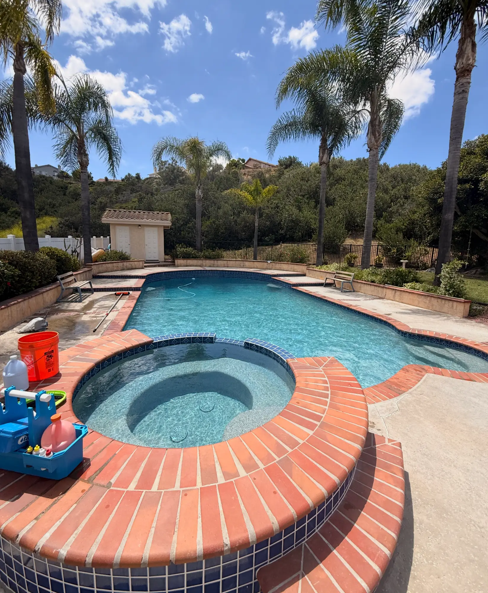 Pool and raised spa with brick coping under palm trees